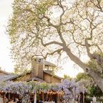Roblar Winery and Vineyards - Santa Ynez Estate Tasting Room