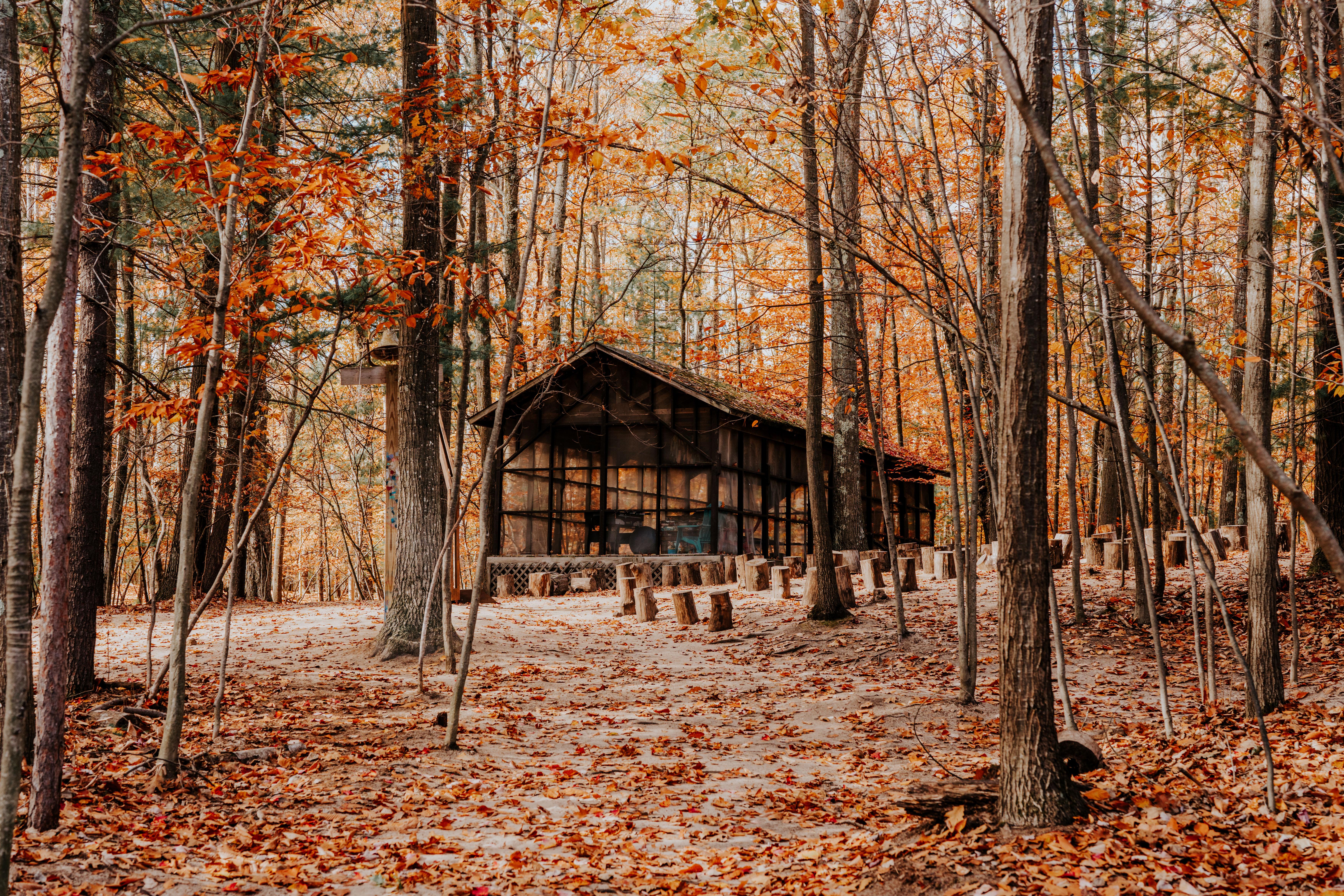 The Wedding Website of Samantha Dann and Jason Lobdell