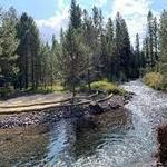 Shevlin Park