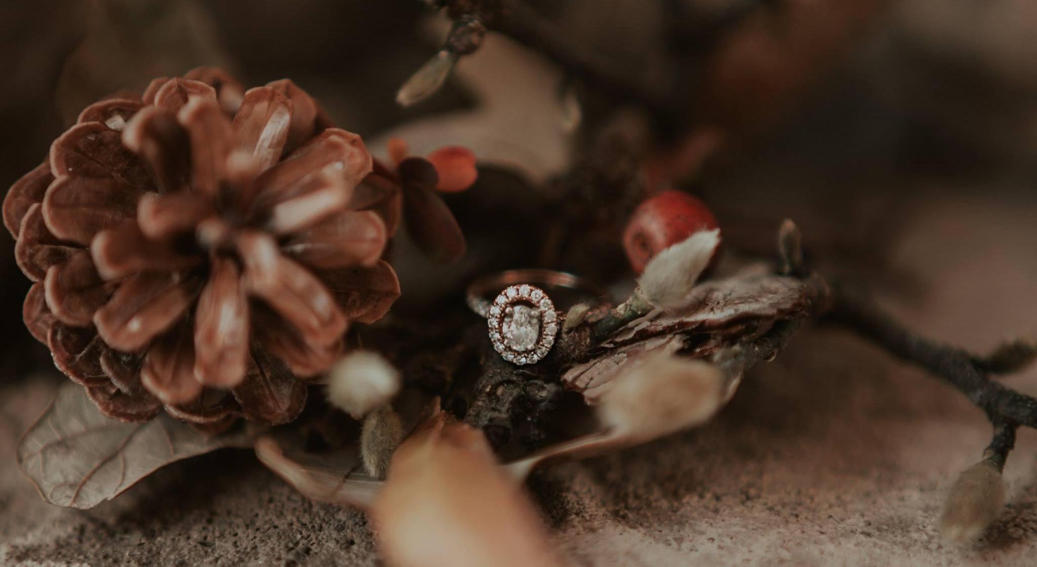 Footer image