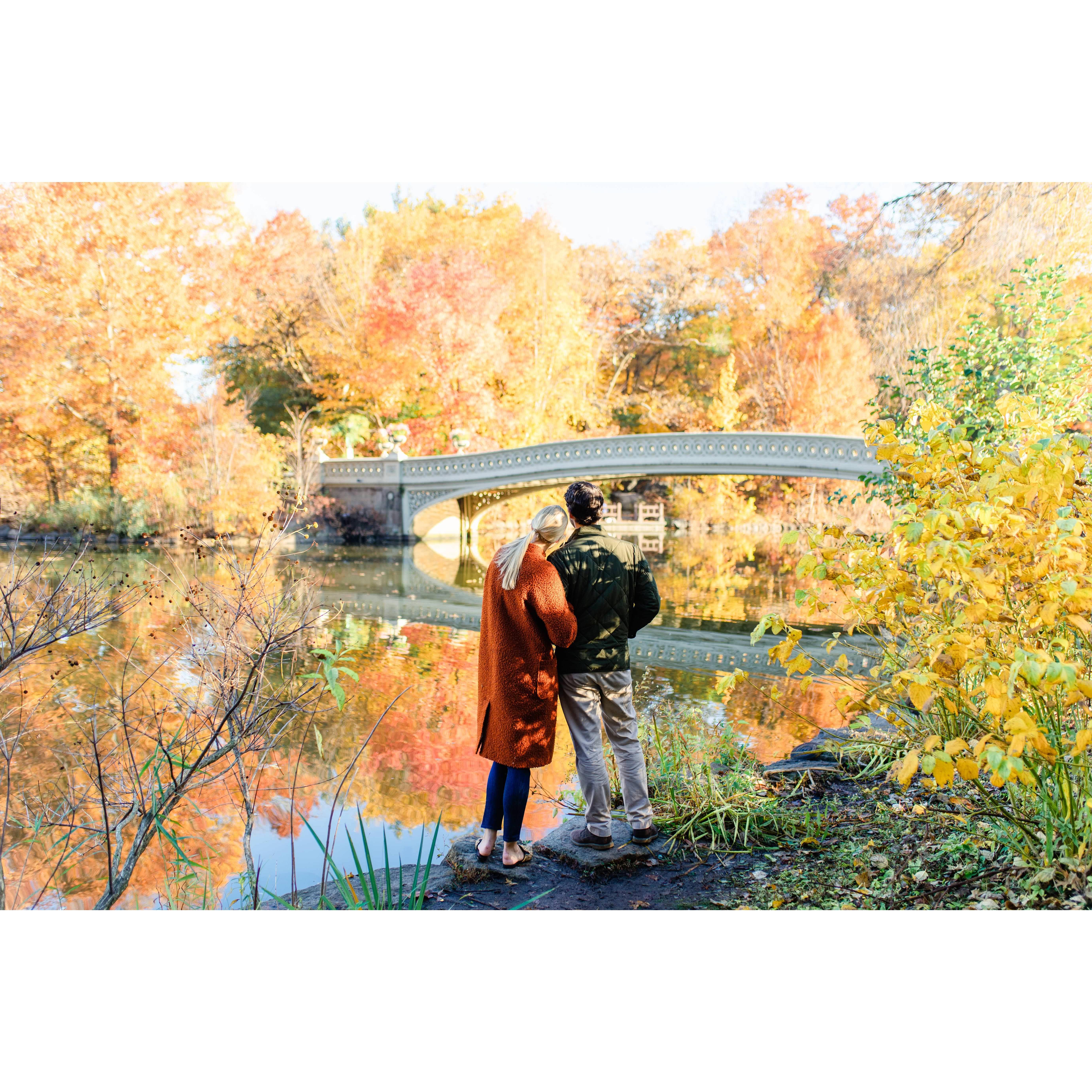 Central Park, November 2020