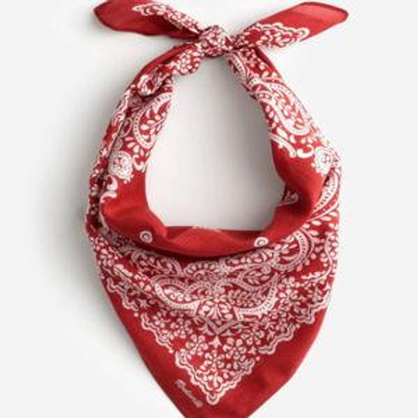 Organic Cotton Bandana | Madewell