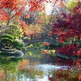 Fort Worth Botanic Garden
