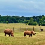 Georgia Safari Conservation Park