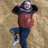 Dollinger Family Farm