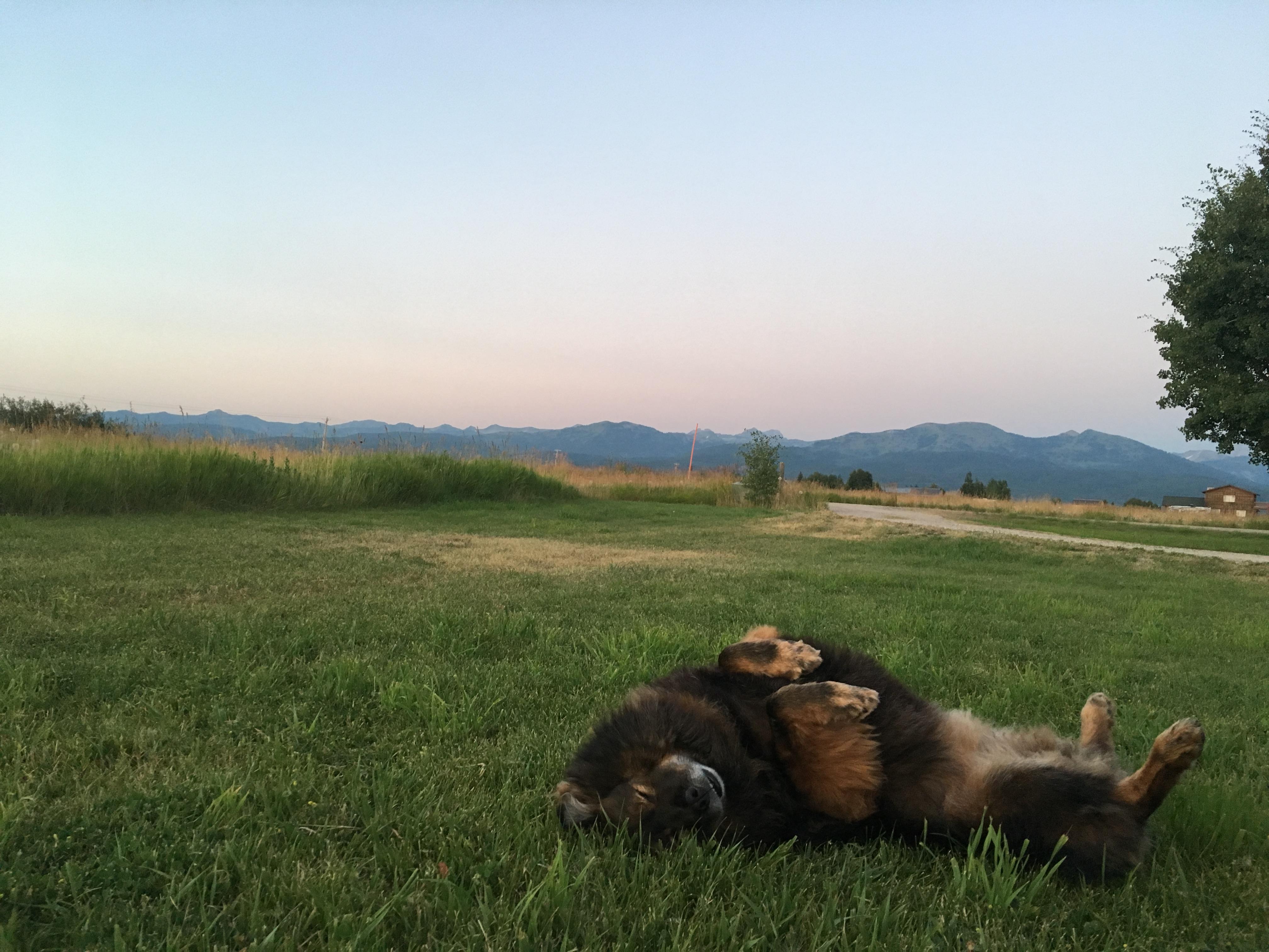 6b38b614-9b06-4ec7-a6bc-545add15f5c6