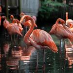 Palm Beach Zoo