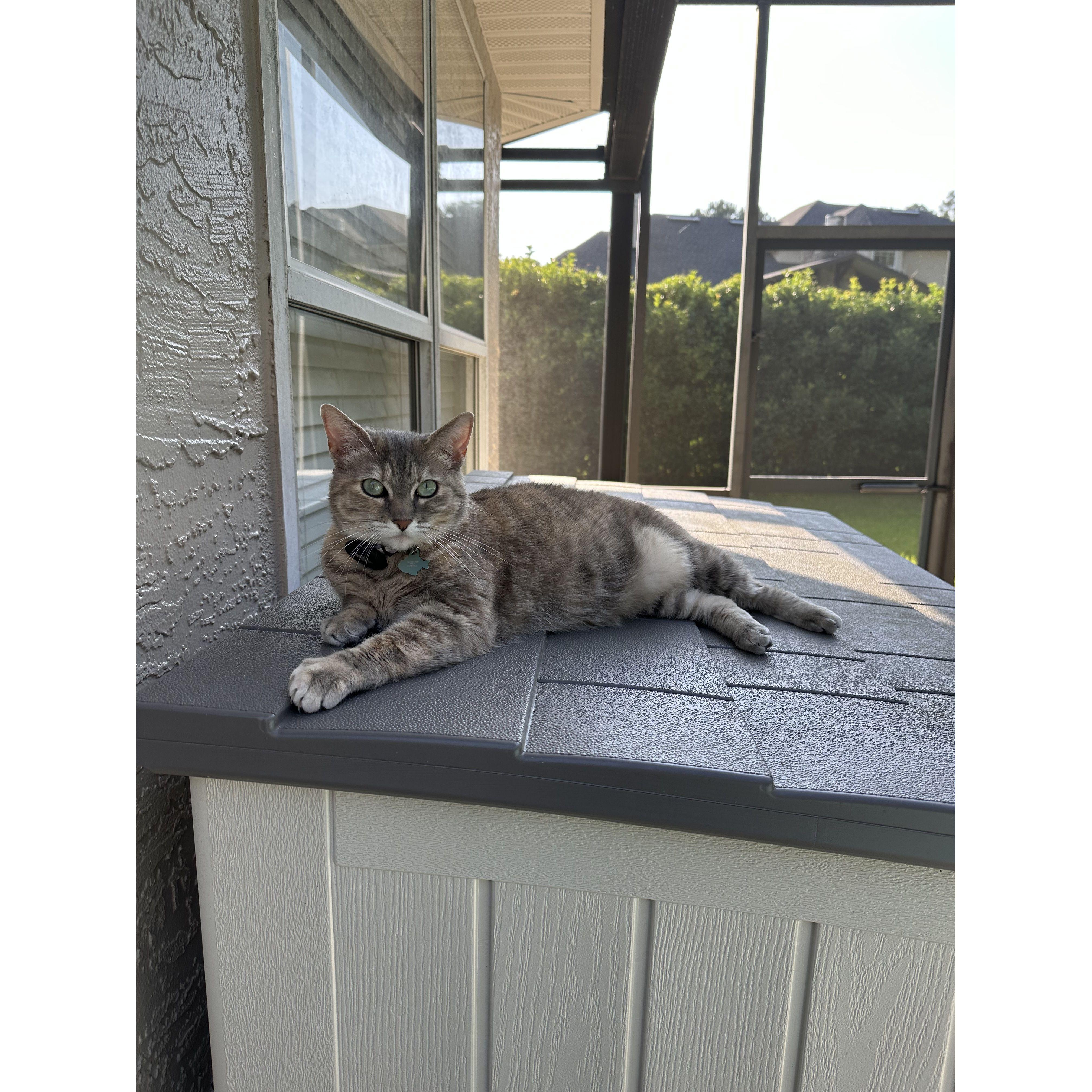 Our daughter, Calypso!