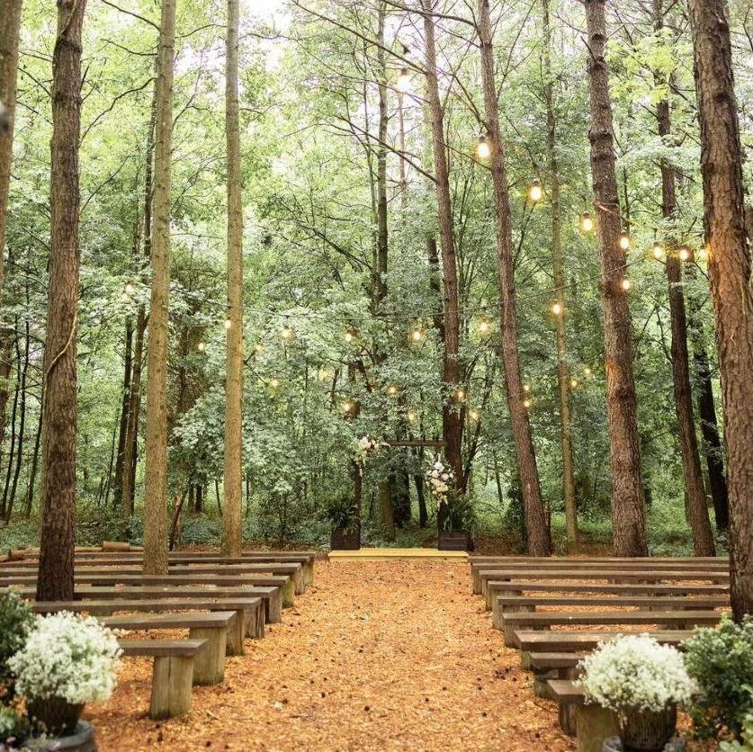 The ceremony site: The Woods