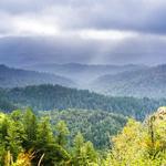 Castle Rock State Park