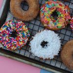 The Donut Experiment Lombard