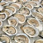 Mac's Chatham Fish & Lobster