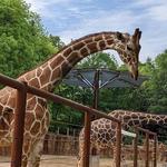 Zoo Atlanta