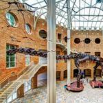 Fernbank Museum | 3D Theater | Forest