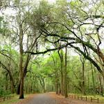 Skidaway Island State Park