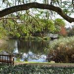 Mounts Botanical Garden