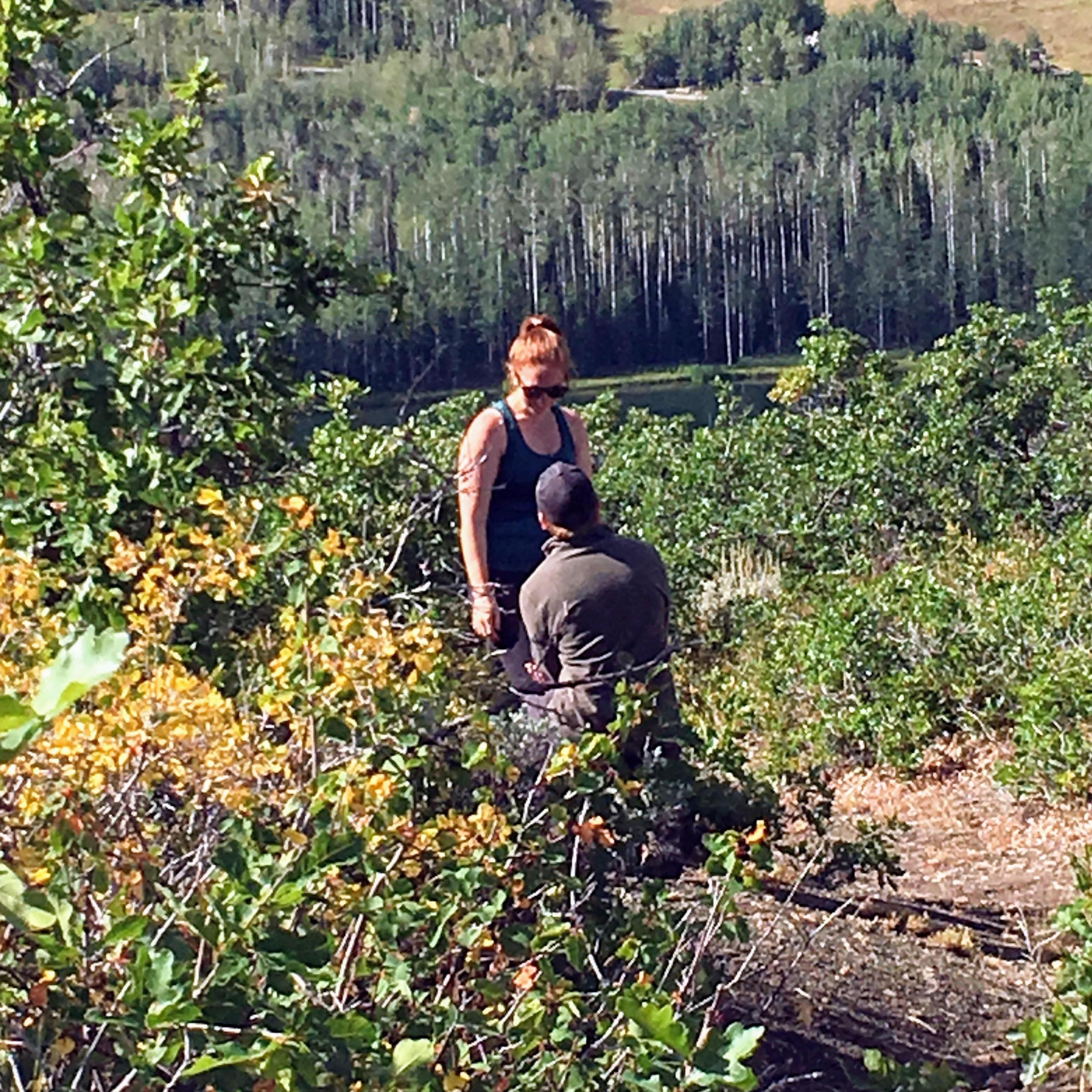 James proposed on a beautiful hike in Snowmass.
