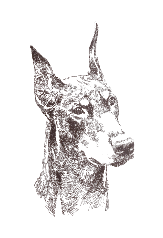 The Wedding Website of Odalis Sanchez and Angel Estrella