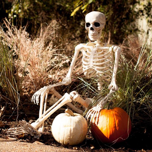 Pose n' Stay Skeleton