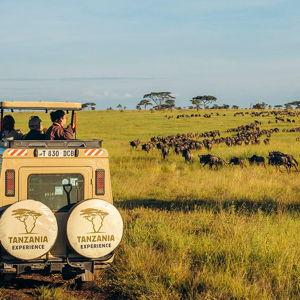 Honeymoon Fund - Serengeti Park Entrance Fee
