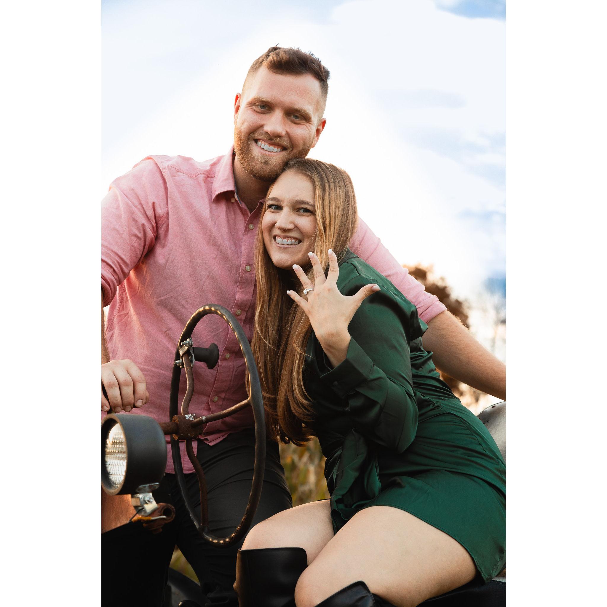 The Newly Engaged Couple
