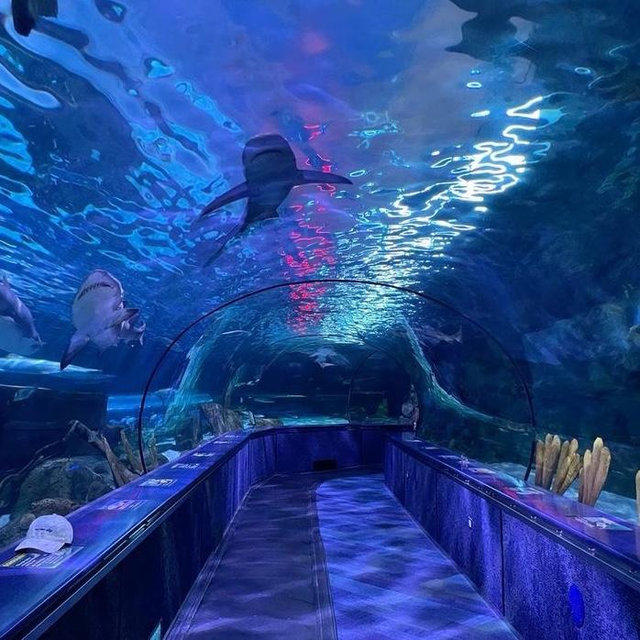 Evil villain aquarium
