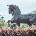 Frederik Meijer Gardens & Sculpture Park