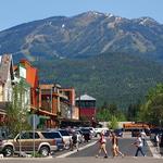 Whitefish