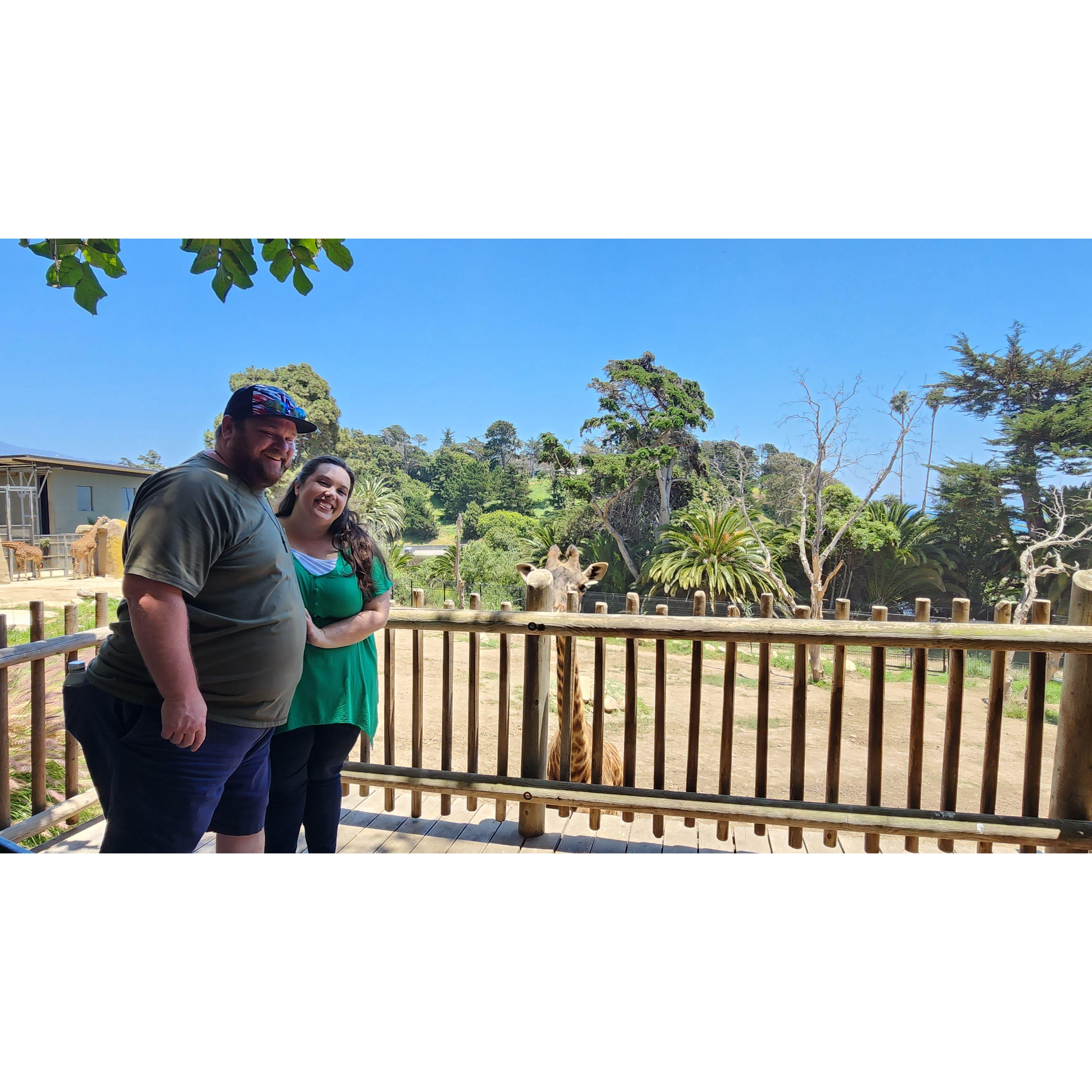 Selfie with a giraffe. Why the long face? Or neck?