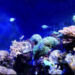 Greensboro Science Center