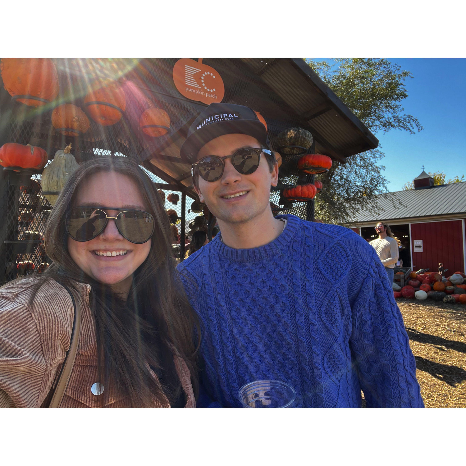 Pumpkin Patch - 2024