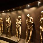 Museum of the Mummies of Guanajuato