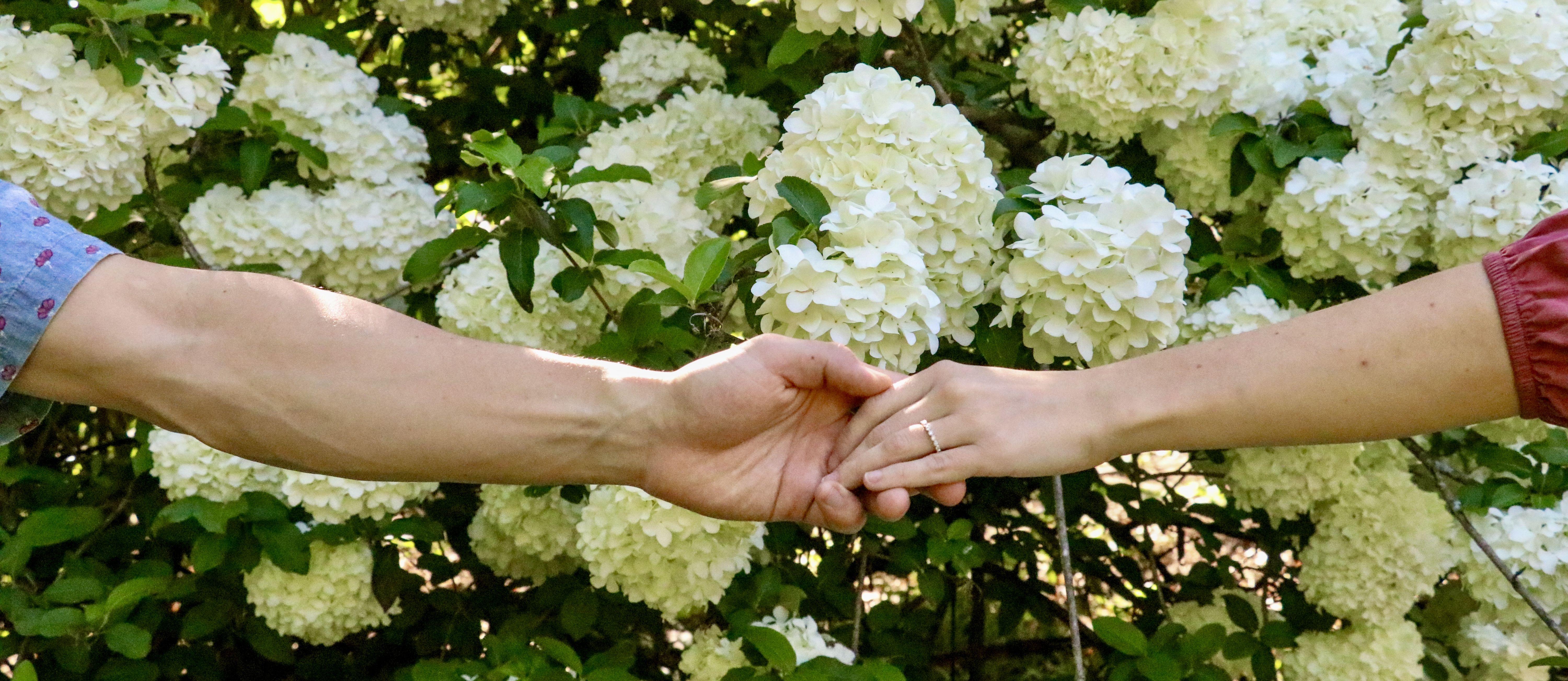 The Wedding Website of Sam Jones and Riley Carpenter