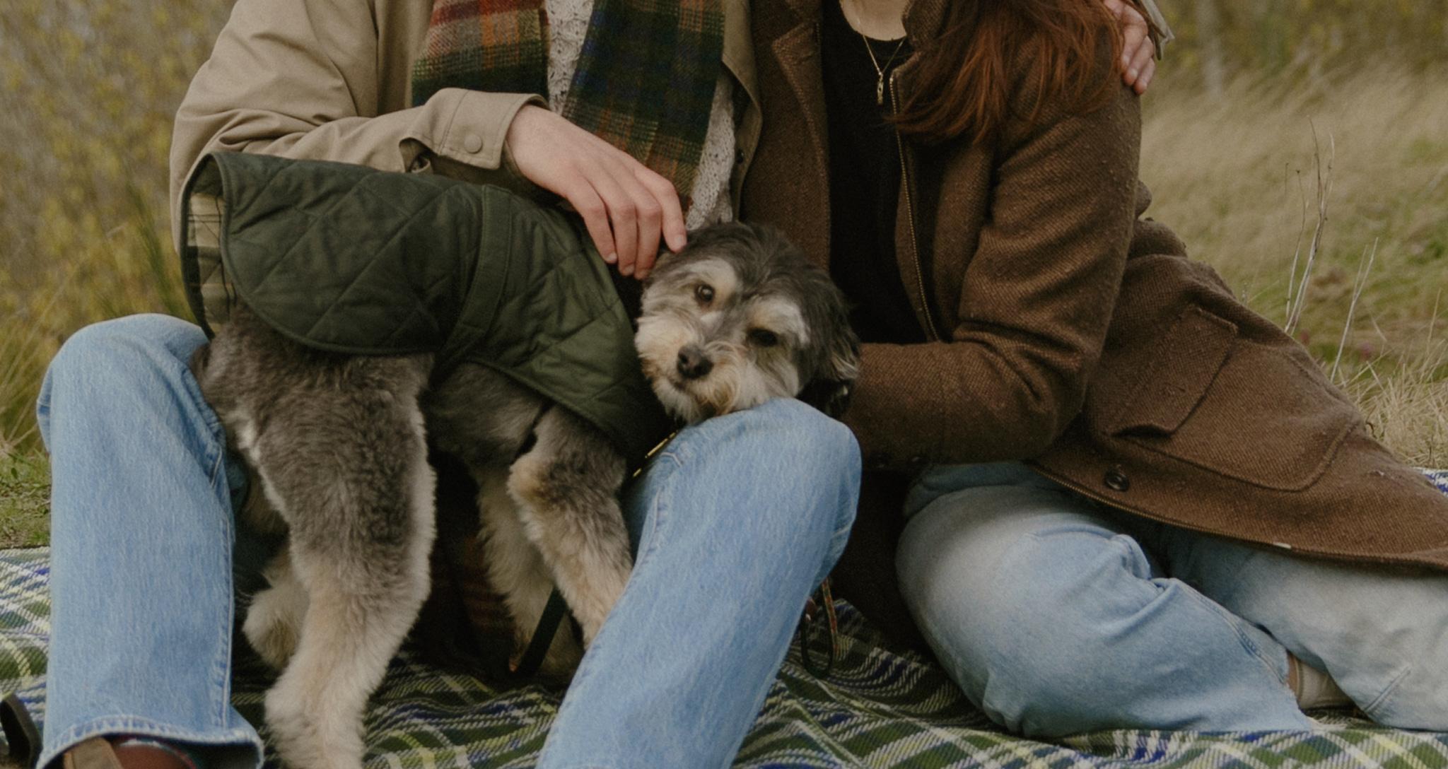 The Wedding Website of Emma Sullivan and Jon Mellman