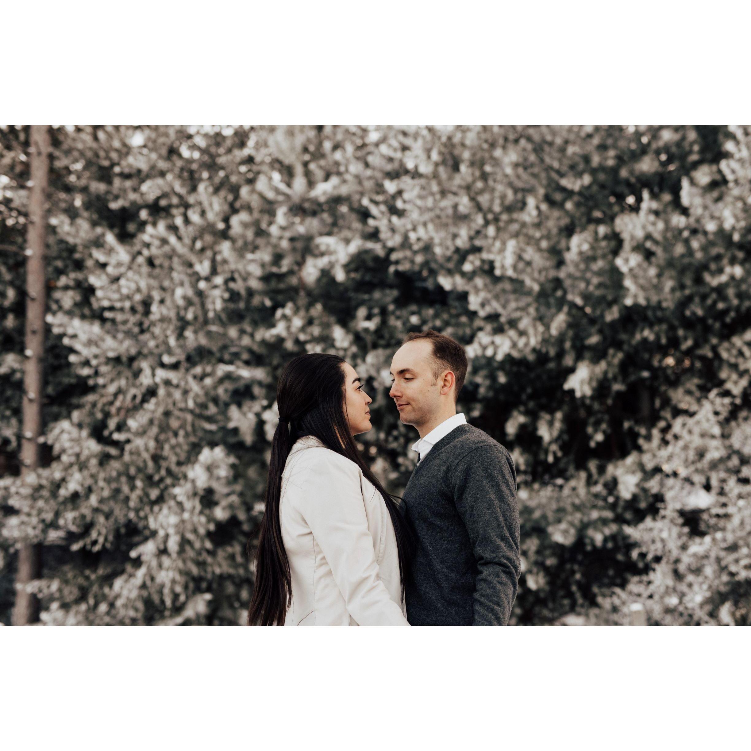 Engagement photos - Hansen Tree Farm (2021)