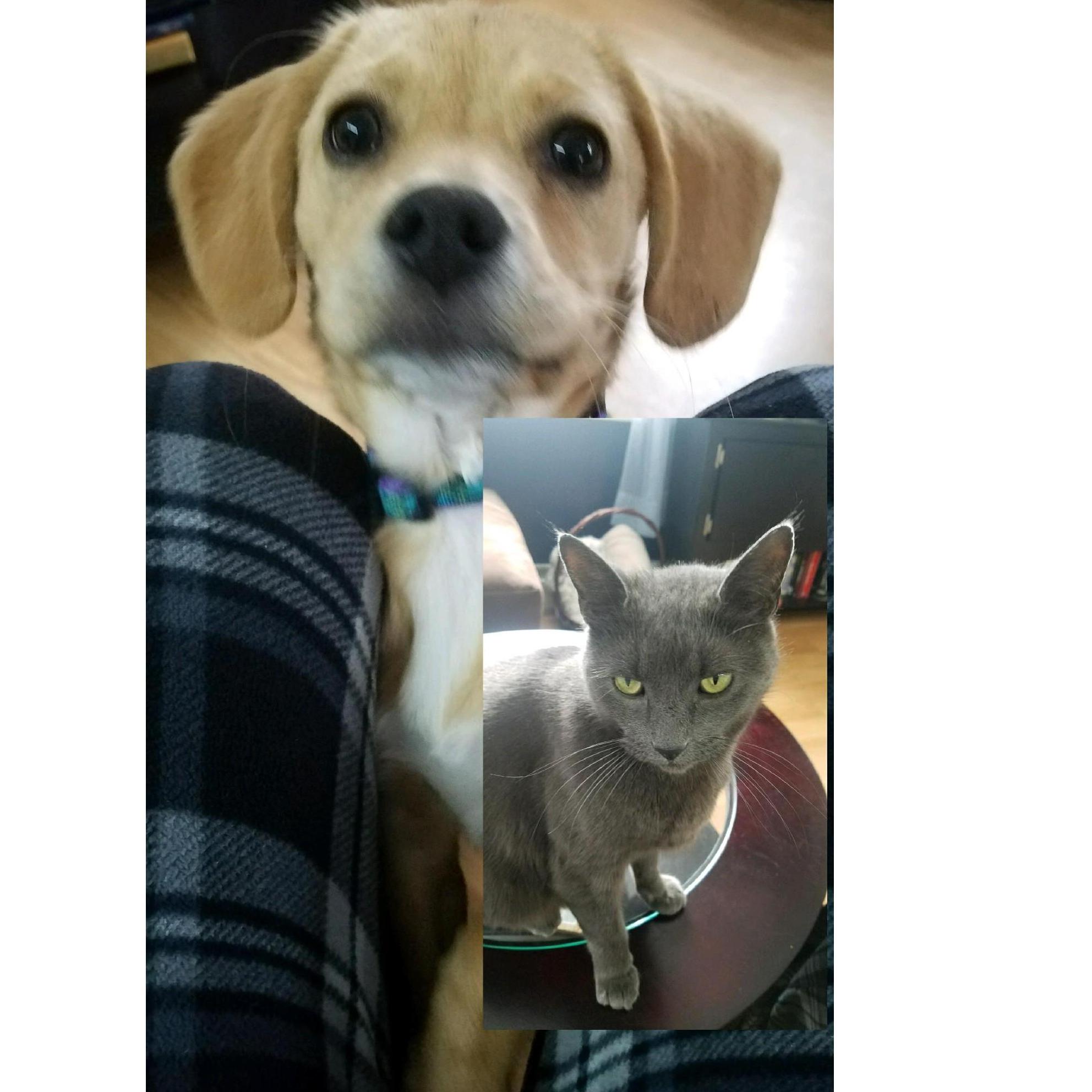 Our babies Chuck and Finley