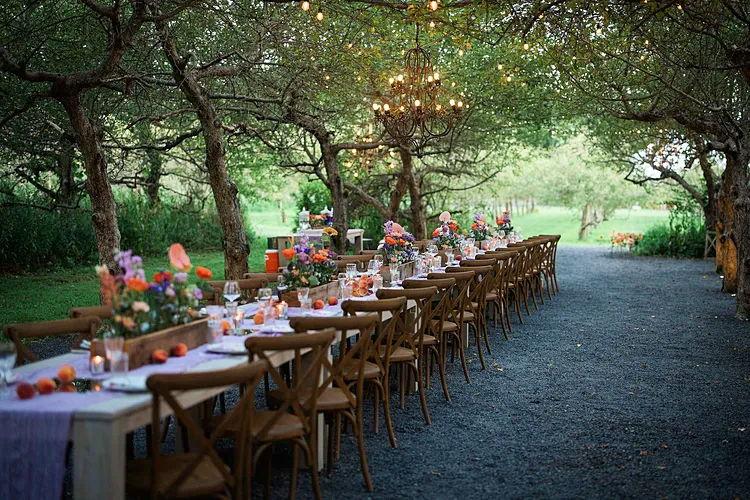 The Wedding Website of Tiffannie Williams and Vivek Menon