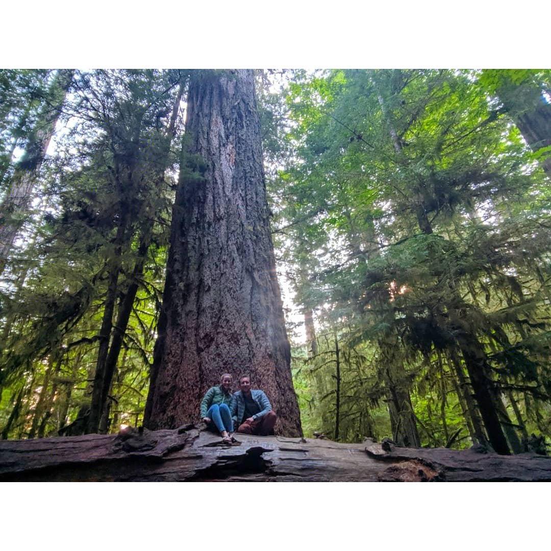 Cathedral Grove, BC 2019