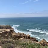 Torrey Pines State Natural Reserve
