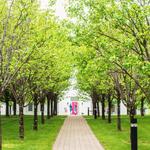 Southern Vermont Arts Center