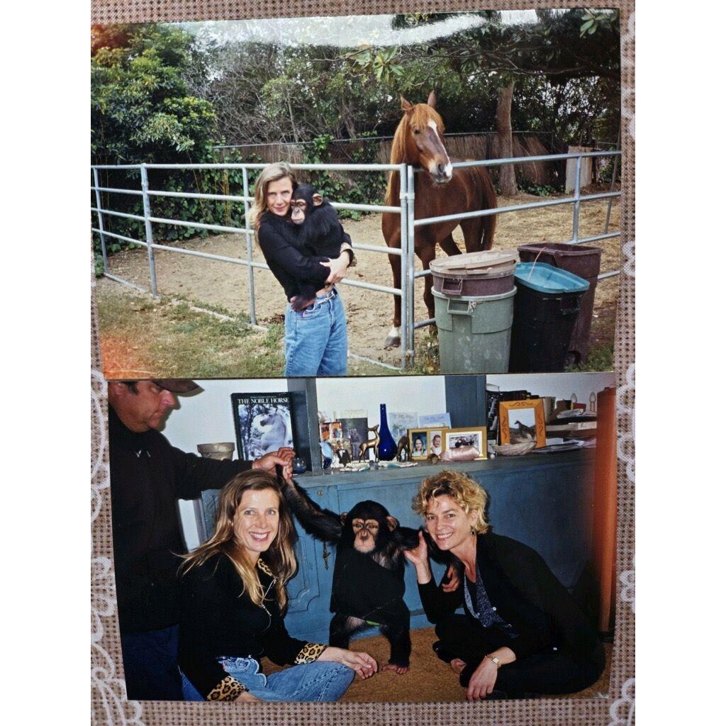 Rebecca Player, Angel (the chimp) and Kimberly