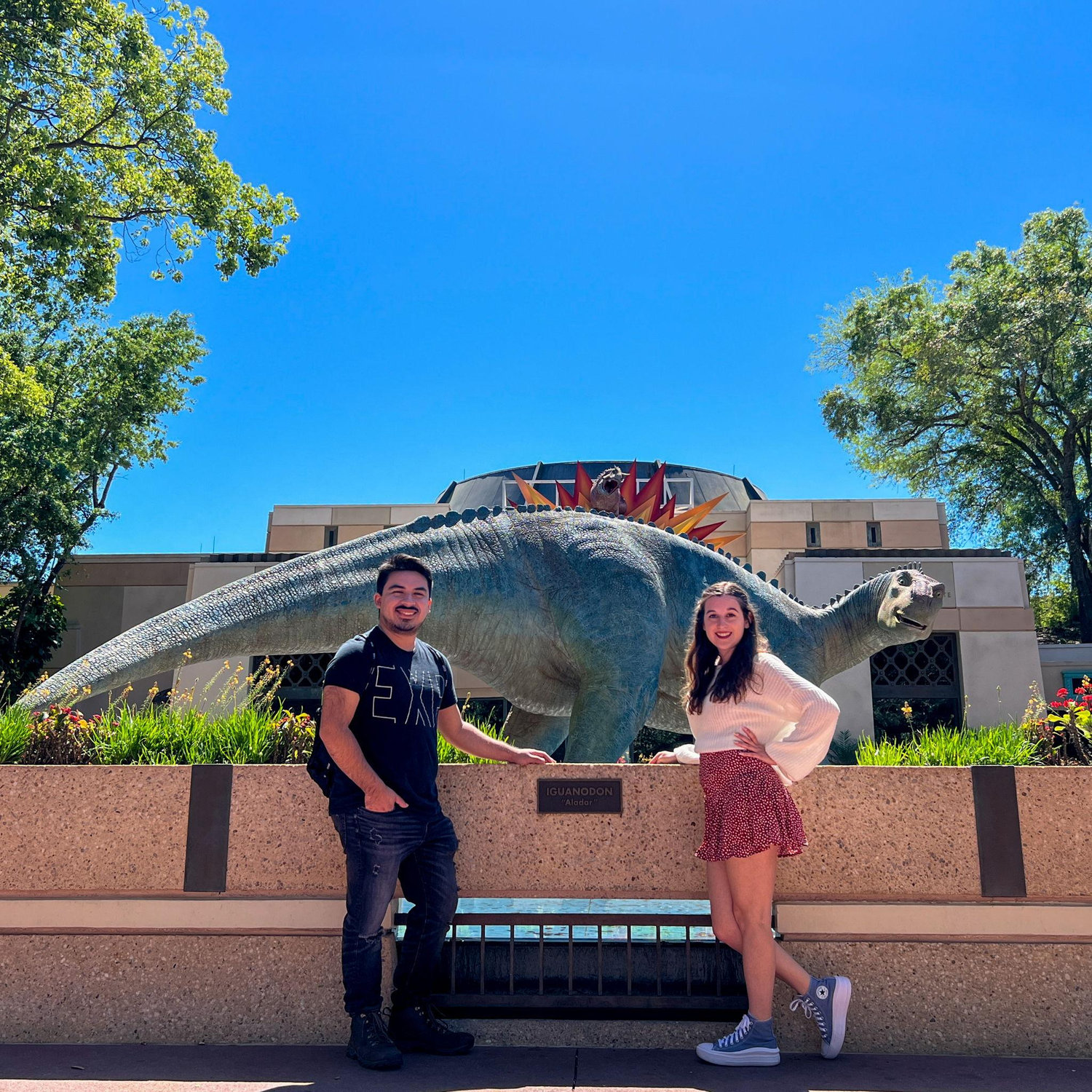 Goodbye to Dinoland