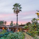 Flora Farms