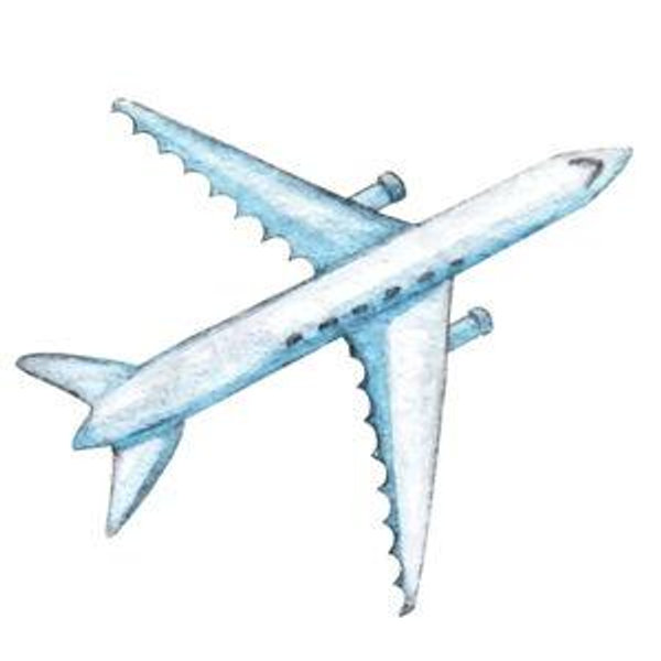 Plane Tickets