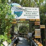 Laura Quinn Wild Bird Sanctuary