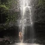 Ka'au Crater hike