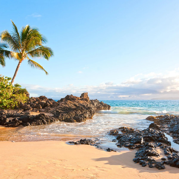 Maui Honeymoon Fund