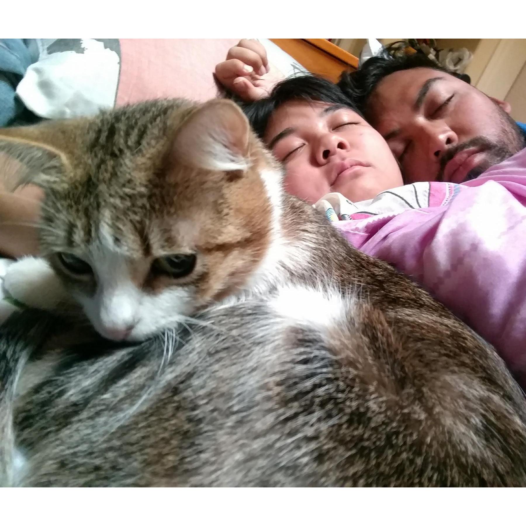 Our very own fur baby! :3