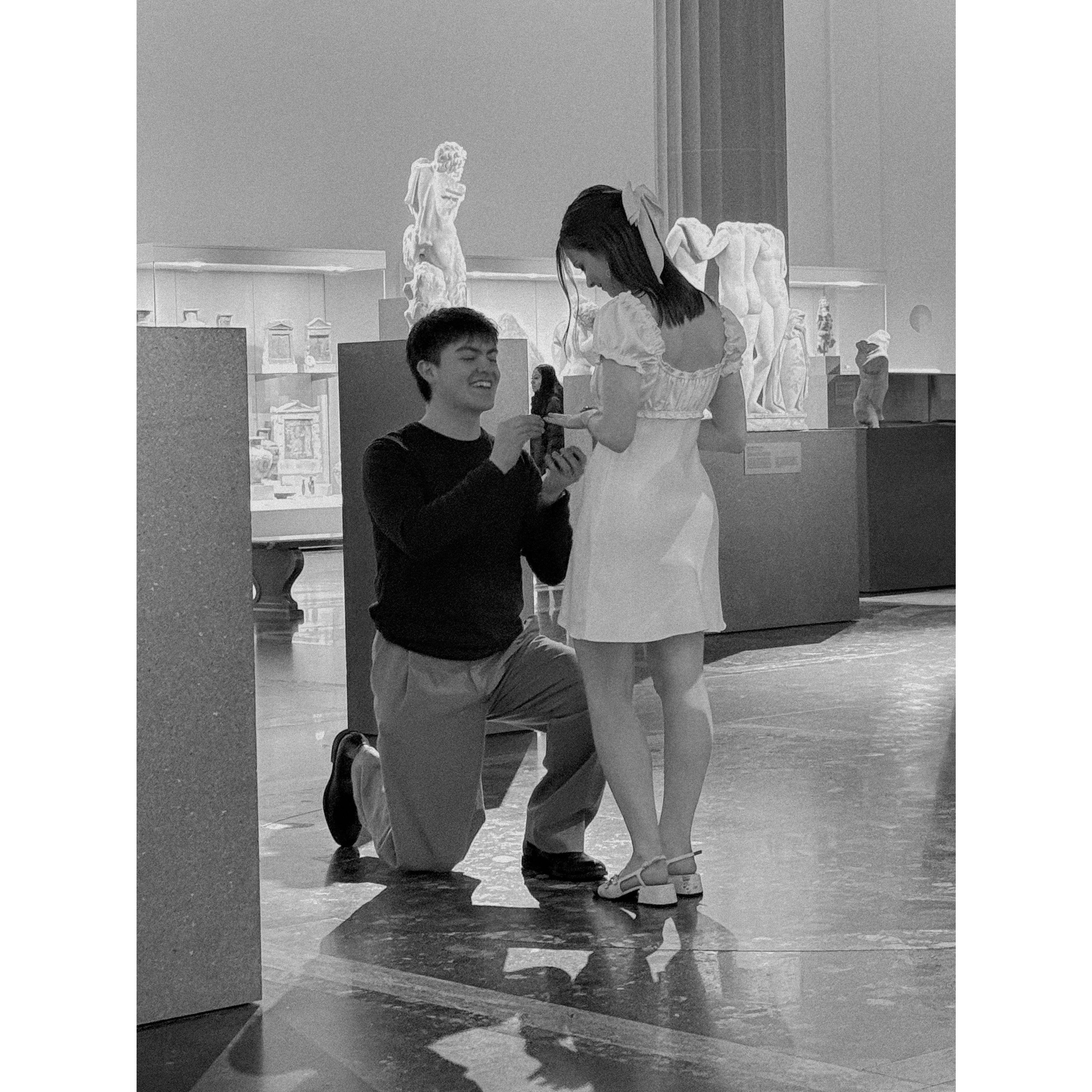 At the Met, taken by a tourist