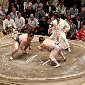 Sumo Experience in Tokyo